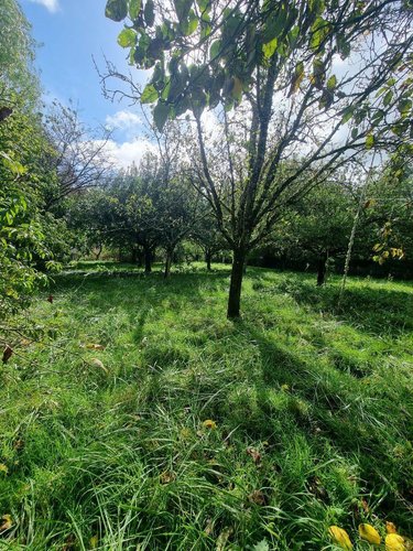 Maison a vendre Neuvy-Saint-Sépulchre 36230 Indre 166 m2 7 pièces 193000 euros