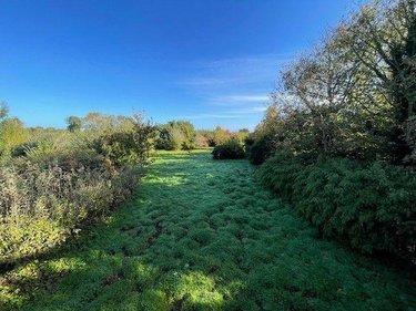 Maison a vendre Plouézec 22470 Côtes-d'Armor 170 m2 6 pièces 396605 euros