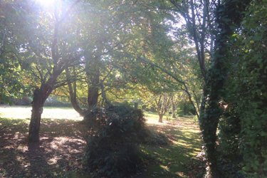 Maison a vendre Colombiers 86490 Vienne 281 m2 10 pièces 340000 euros