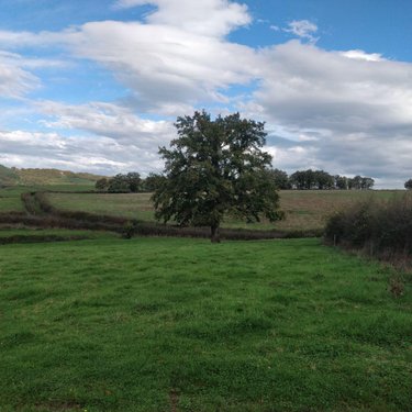 Terrain a batir a vendre Saint-Privé 71390 Saône-et-Loire 3681 m2  49820 euros