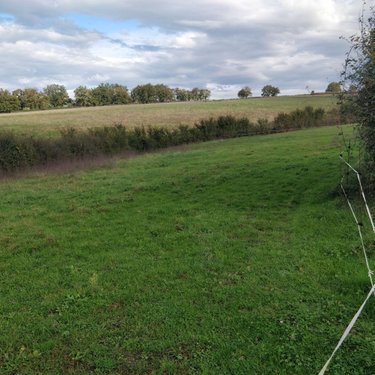 Terrain a batir a vendre Saint-Privé 71390 Saône-et-Loire 2779 m2  40000 euros
