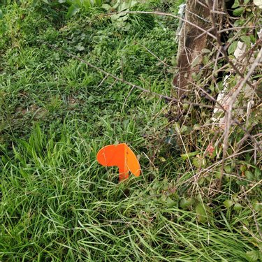 Terrain a batir a vendre Saint-Privé 71390 Saône-et-Loire 2779 m2  40000 euros