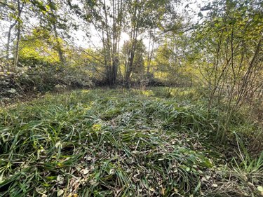 Maison a vendre Brétignolles-le-Moulin 53110 Mayenne 40 m2 3 pièces 47700 euros