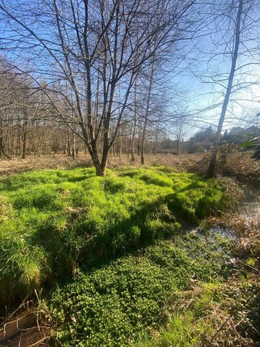 Terrain a batir a vendre Provenchère 70170 Haute-Saône 6272 m2  35000 euros