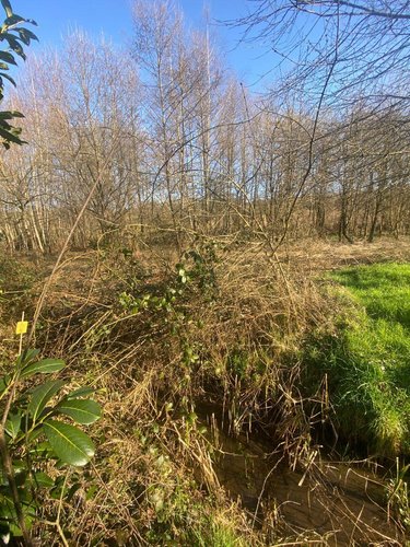 Terrain a batir a vendre Provenchère 70170 Haute-Saône 6272 m2  35000 euros