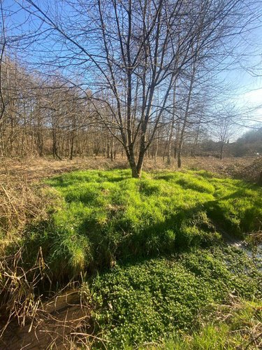 Terrain a batir a vendre Provenchère 70170 Haute-Saône 6272 m2  35000 euros