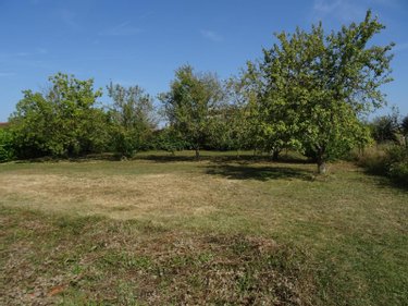 Terrain a batir a vendre Chapelle-Viviers 86300 Vienne 950 m2  19600 euros