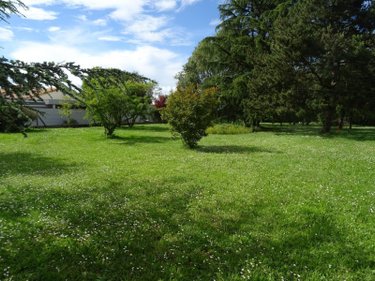 Terrain a batir a vendre Saint-Julien-l'Ars 86800 Vienne 1897 m2  131000 euros