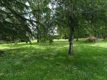 Terrain a batir a vendre Saint-Julien-l'Ars 86800 Vienne 1897 m2  131000 euros