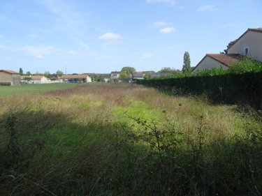 Terrain a batir a vendre Bonnes 86300 Vienne 1405 m2  38600 euros