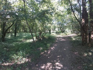 Maison a vendre Paizay-le-Sec 86300 Vienne 170 m2 6 pièces 255290 euros