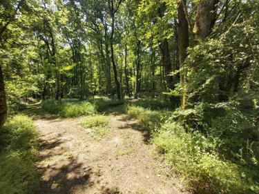 Maison a vendre Paizay-le-Sec 86300 Vienne 170 m2 6 pièces 255290 euros