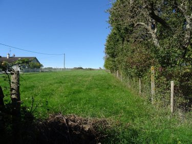 Terrain a batir a vendre Leignes-sur-Fontaine 86300 Vienne 1159 m2  18600 euros