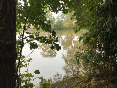 Maison a vendre Le Mans 72000 Sarthe 97 m2 5 pièces 209000 euros