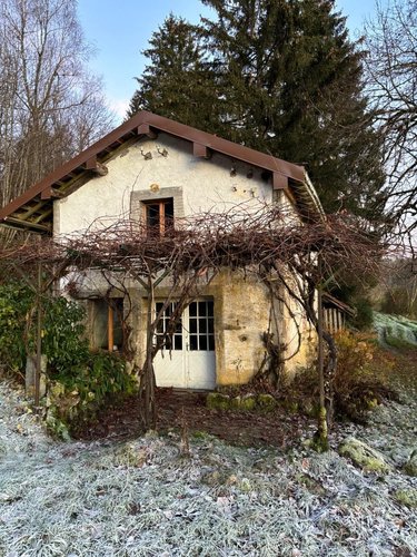 propriete a vendre Rupt-sur-Moselle 88360 Vosges 330 m2 10 pièces 273000 euros