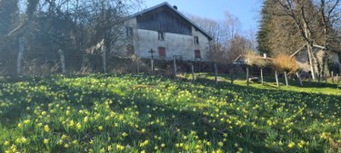 propriete a vendre Rupt-sur-Moselle 88360 Vosges 330 m2 10 pièces 273000 euros