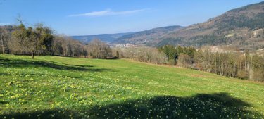 propriete a vendre Rupt-sur-Moselle 88360 Vosges 330 m2 10 pièces 273000 euros