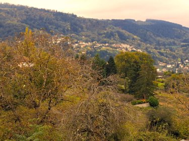 Terrain a batir a vendre Thiers 63300 Puy-de-Dôme 1977 m2  50000 euros