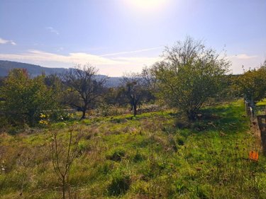 Terrain a batir a vendre Thiers 63300 Puy-de-Dôme 1977 m2  50000 euros