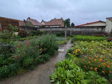 Maison a vendre Auchy-lès-Hesdin 62770 Pas-de-Calais 61 m2 3 pièces 55500 euros