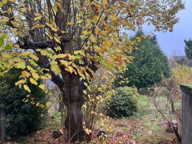 Maison a vendre Châteauroux 36000 Indre 122 m2 4 pièces 105400 euros
