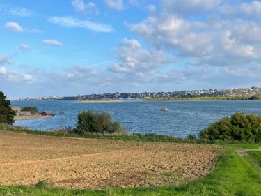 Maison a vendre Saint-Pol-de-Léon 29250 Finistère 149 m2 7 pièces 384100 euros