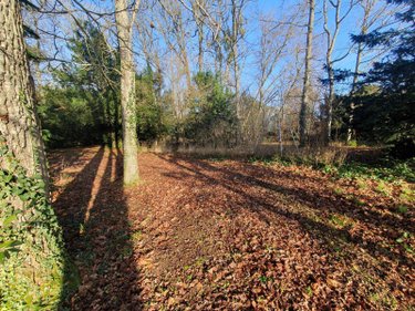 Maison a vendre Souppes-sur-Loing 77460 Seine-et-Marne 378 m2 13 pièces 415000 euros