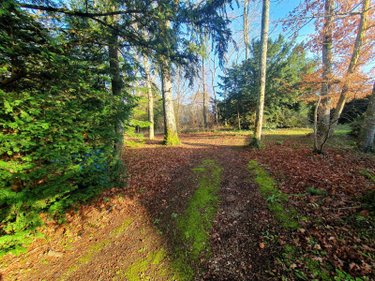 Maison a vendre Souppes-sur-Loing 77460 Seine-et-Marne 378 m2 13 pièces 499000 euros