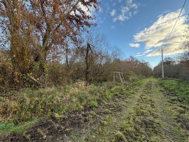 Maison a vendre Salbris 41300 Loir-et-Cher 84 m2 2 pièces 206848 euros