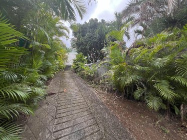 Terrain a batir a vendre Saint-Paul 97460 Réunion 473 m2  243900 euros