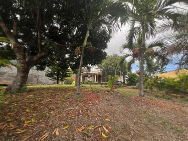 Terrain a batir a vendre Saint-Paul 97460 Réunion 473 m2  243900 euros