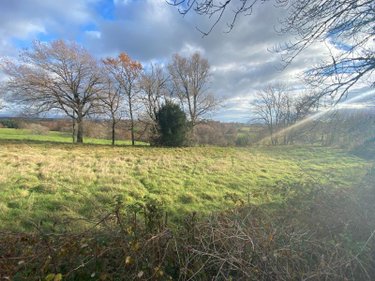Terrain a batir a vendre Pleaux 15700 Cantal 2390 m2  21500 euros