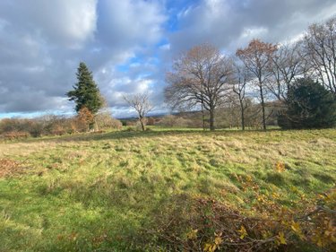 Terrain a batir a vendre Pleaux 15700 Cantal 2390 m2  21500 euros