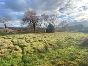 Terrain a batir a vendre Pleaux 15700 Cantal 2390 m2  21500 euros