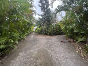 Terrain a batir a vendre Saint-Paul 97460 Réunion 473 m2  243900 euros