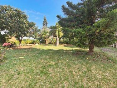 Terrain a batir a vendre Saint-Paul 97460 Réunion 473 m2  243900 euros