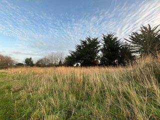 Terrain a batir a vendre Guimaëc 29620 Finistère 636 m2  48972 euros