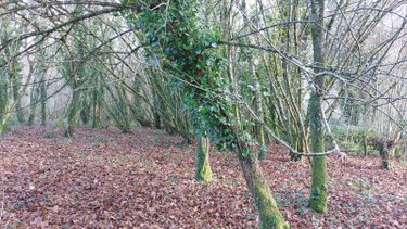 Maison a vendre Châteauneuf-du-Faou 29520 Finistère 132 m2 7 pièces 235750 euros