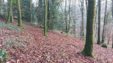 Maison a vendre Châteauneuf-du-Faou 29520 Finistère 132 m2 7 pièces 235750 euros
