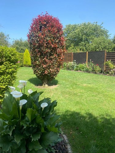 Maison a vendre Baulay 70160 Haute-Saône 228 m2 6 pièces 218000 euros