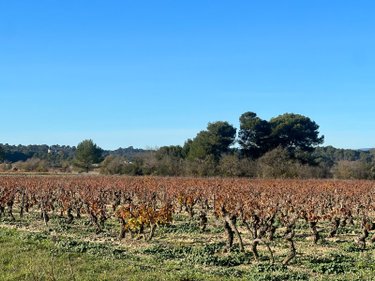 Maison a vendre Badens 11800 Aude 297 m2 7 pièces 249000 euros