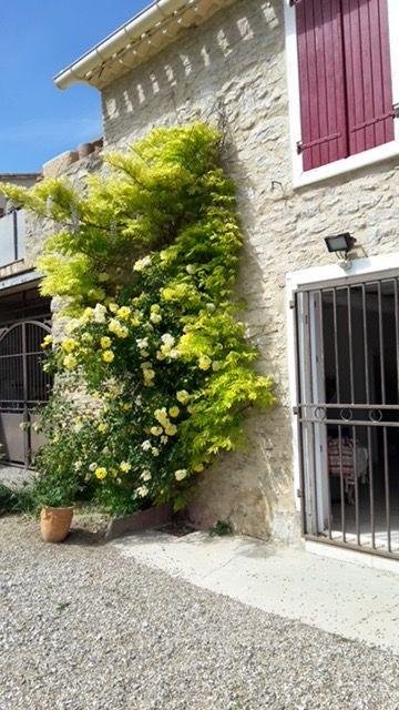 Maison a vendre Badens 11800 Aude 297 m2 7 pièces 249000 euros