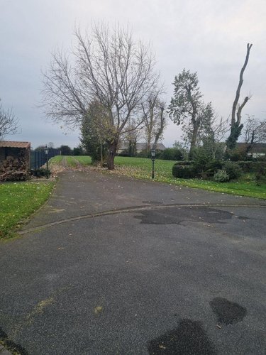 Maison a vendre Quaëdypre 59380 Nord 264 m2 13 pièces 499200 euros