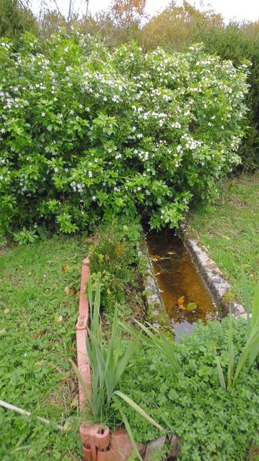 Maison a vendre Mortroux 23220 Creuse 107 m2 4 pièces 105000 euros