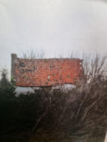Maison a vendre Holque 59143 Nord 40 m2 3 pièces 64000 euros