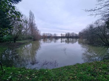 Terrains de loisirs bois etangs a vendre Neuvy-Saint-Sépulchre 36230 Indre 5740 m2  37000 euros