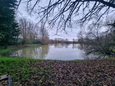 Terrains de loisirs bois etangs a vendre Neuvy-Saint-Sépulchre 36230 Indre 5740 m2  37000 euros
