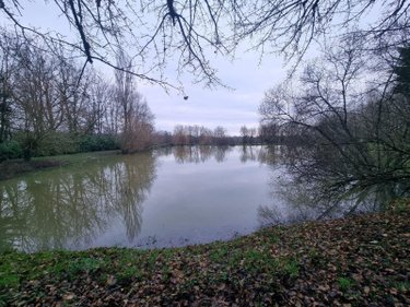 Terrains de loisirs bois etangs a vendre Neuvy-Saint-Sépulchre 36230 Indre 5740 m2  37000 euros