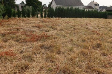 Terrain a batir a vendre Châtellerault 86100 Vienne 1011 m2  79800 euros