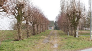 Maison a vendre Neuflize 08300 Ardennes 213 m2 8 pièces 296500 euros